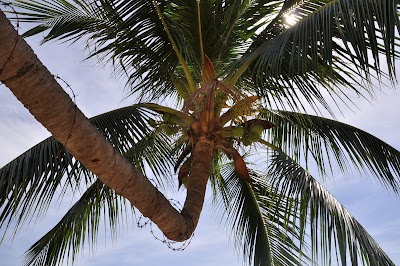 DSC_0228.JPG