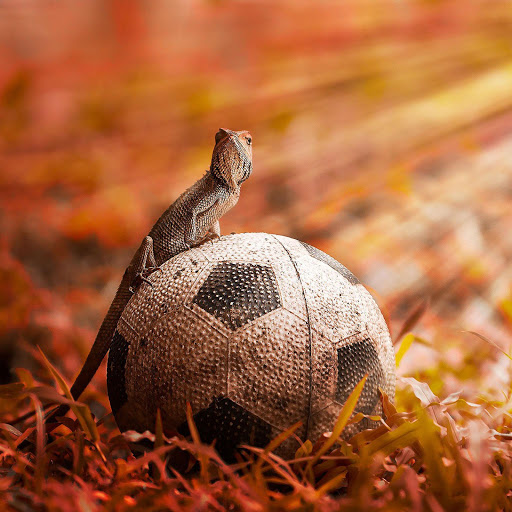 Hd-133052-ascw133052