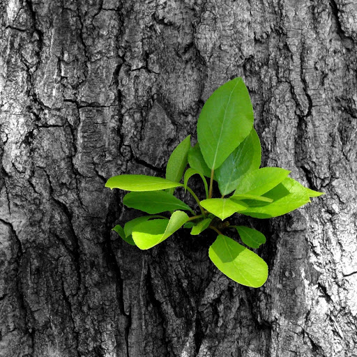 Hd-143375-ascw143375