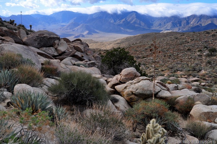 [DSC_0062%255B4%255D.jpg]