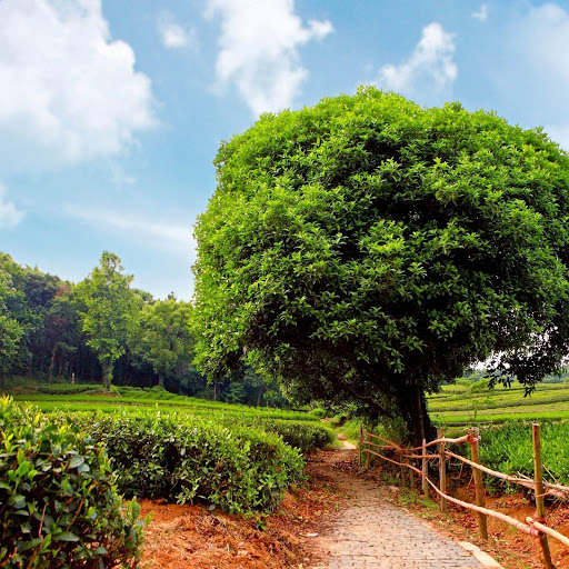 Hd-159856-ascw159856