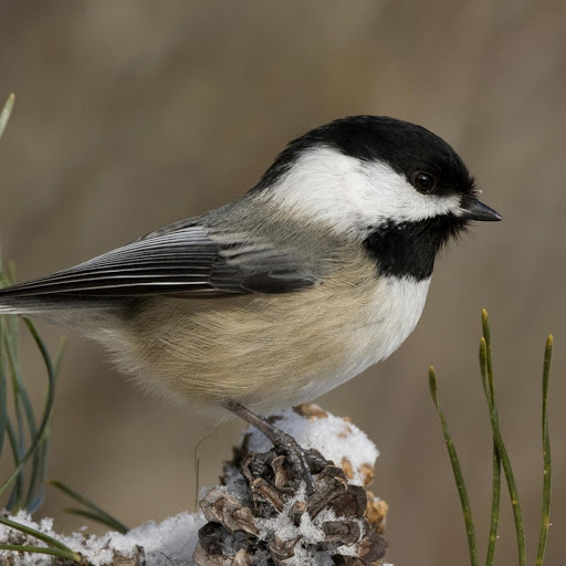 Hd-143966-ascw143966