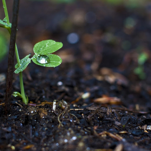 Hd-152365-ascw152365