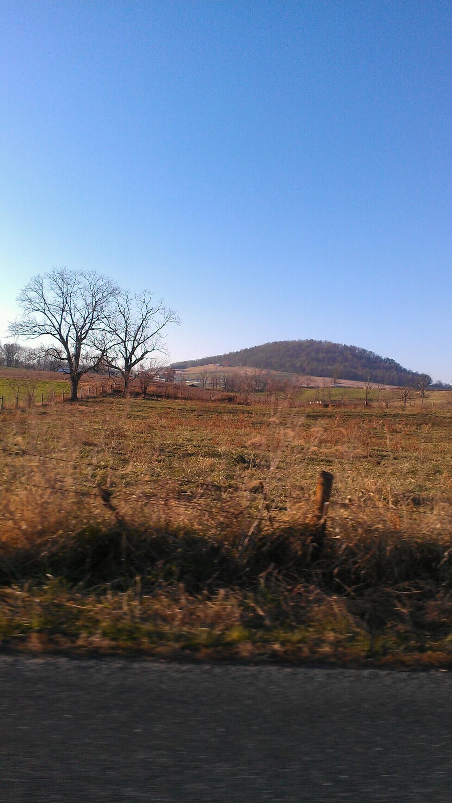 Speed School Mole Hill a virginia volcano