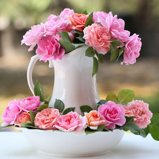 Hd-171069-ascw171069