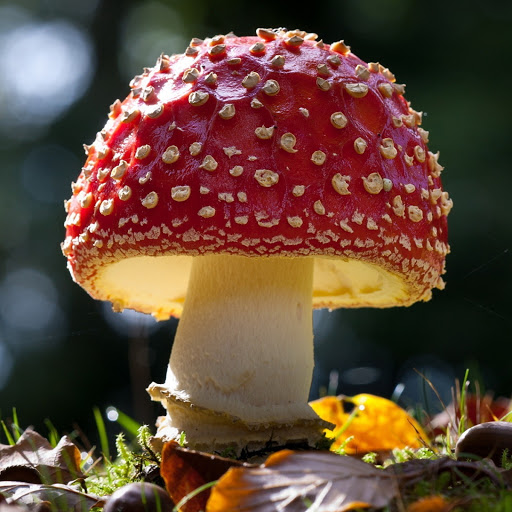 Hd-179894-ascw179894