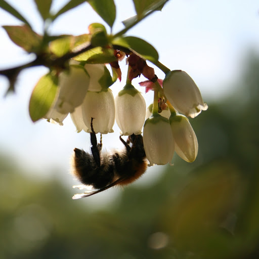 Hd-163809-ascw163809