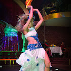 IMG_2574 copy.jpg