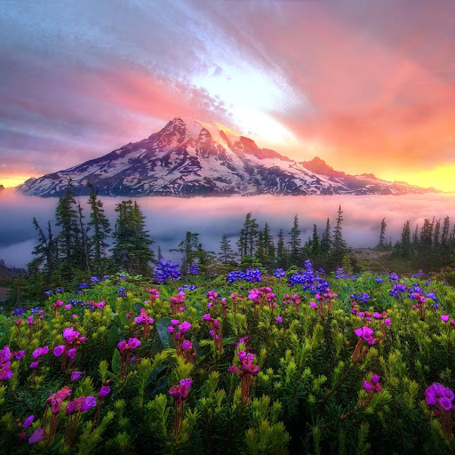 Hd-150927-ascw150927