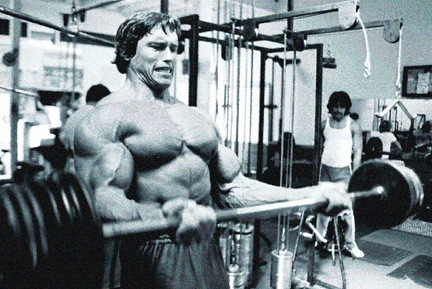 Arnold Cheat Curl
