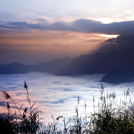 Hd-176282-ascw176282