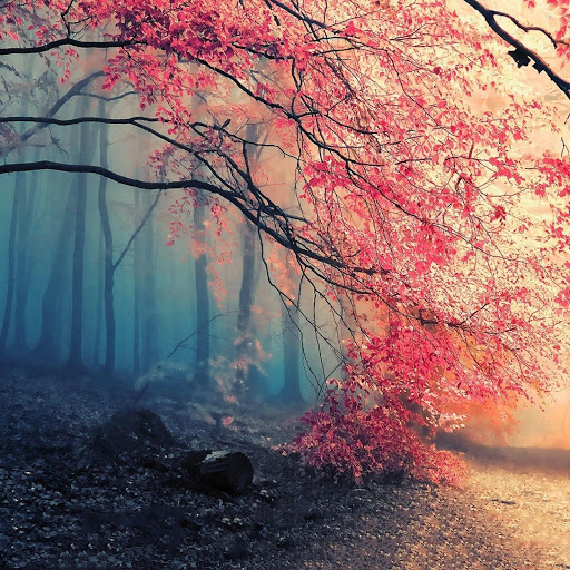 Hd-149344-ascw149344