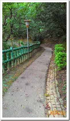1106 138 - 孫龍步道