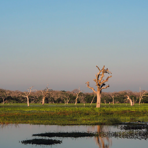 Hd-183141-ascw183141