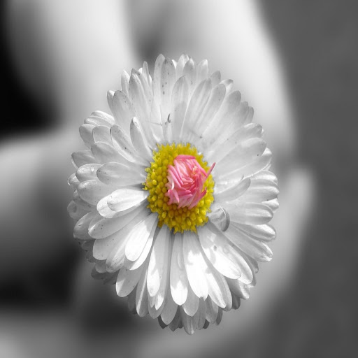 Hd-172062-ascw172062