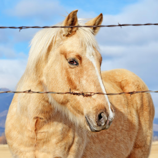 Hd-183328-ascw183328