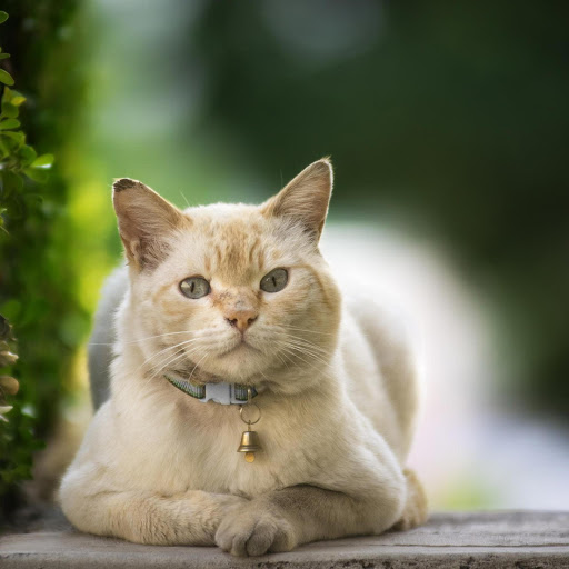 Hd-178315-ascw178315