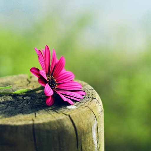 Hd-156741-ascw156741