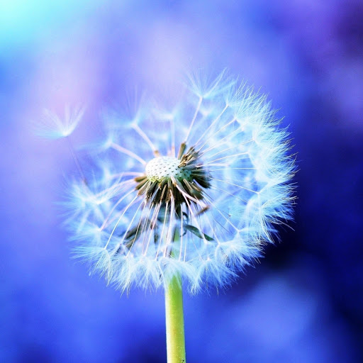 Hd-175728-ascw175728