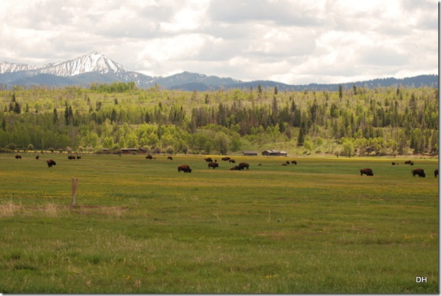06-07-13 A Elk Ranch Flats (25)