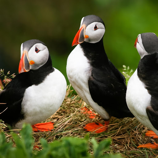 Hd-177813-ascw177813