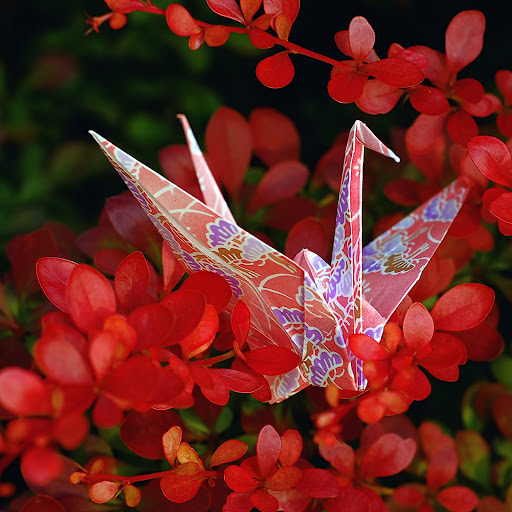 Hd-140576-ascw140576