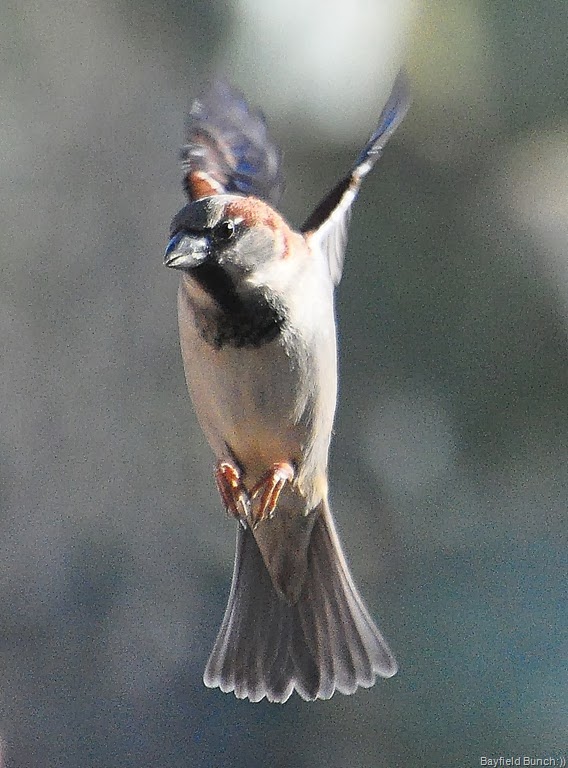 [DSC_0059%255B5%255D.jpg]