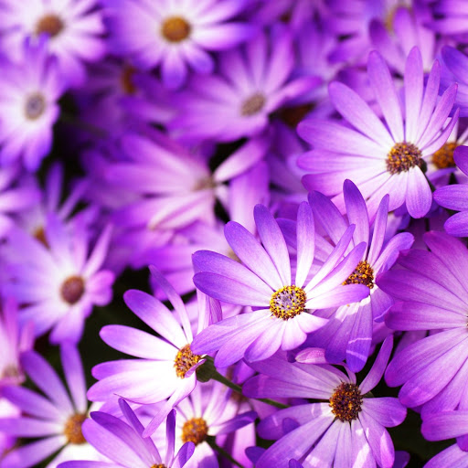 Hd-141716-ascw141716