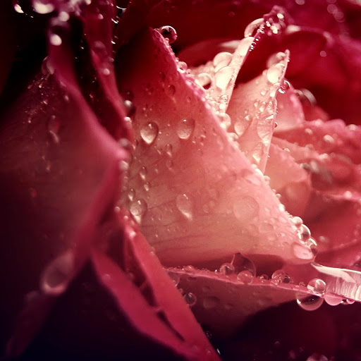 Hd-163810-ascw163810