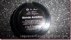 Blonde Ambition (4)