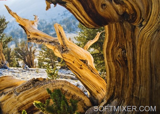 [0e2e24e621d2%255B11%255D.jpg]