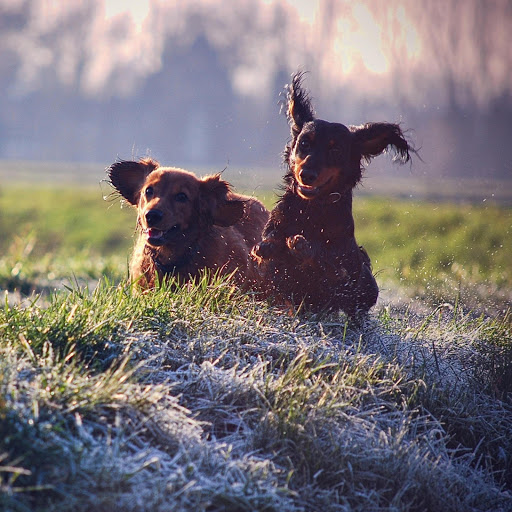 Hd-140825-ascw140825