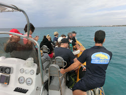 2012-10-20 Mallorca by BREITENGRAD53 - 147