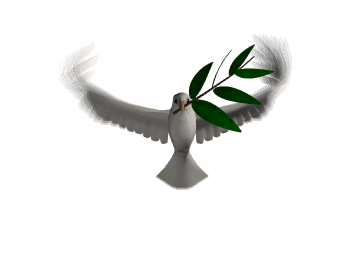 POMBA - Símbolo do Espírito Santo
