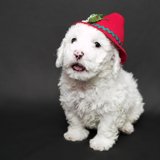 Hd-185720-ascw185720