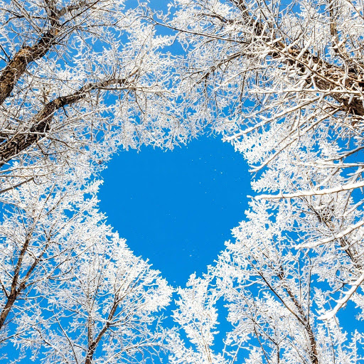 Hd-168596-ascw168596