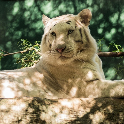 Hd-134711-ascw134711