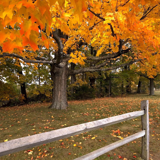 Hd-163148-ascw163148