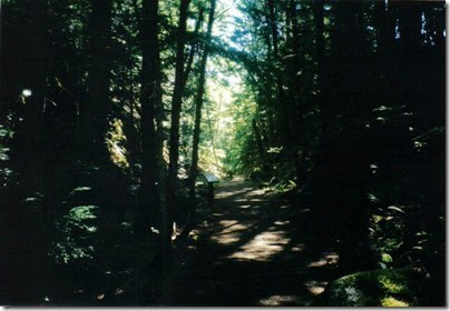 View of the Iron Goat Trail in the Rock Cut near Milepost 1718 in 2000