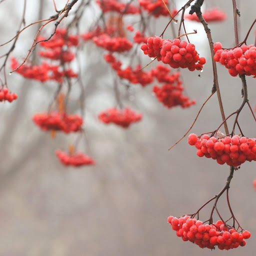 Hd-147802-ascw147802