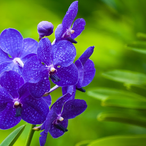 Hd-166977-ascw166977