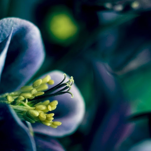 Hd-137606-ascw137606