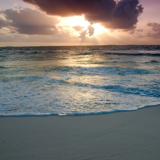 Hd-142003-ascw142003