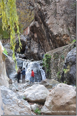 Excursión a Ourika. Subida a las cascadas-DSC_0316