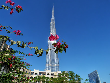 Obiective turistice Dubai: Burj Khalifa