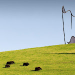 gibbs-farm-dawson_02.jpg