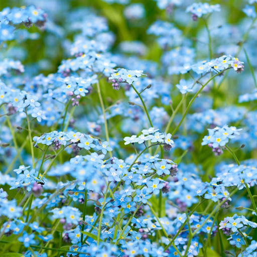 Hd-148781-ascw148781