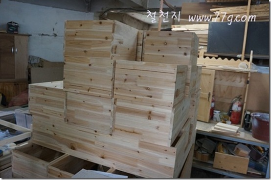 철천지DSC00098-20120919-120438