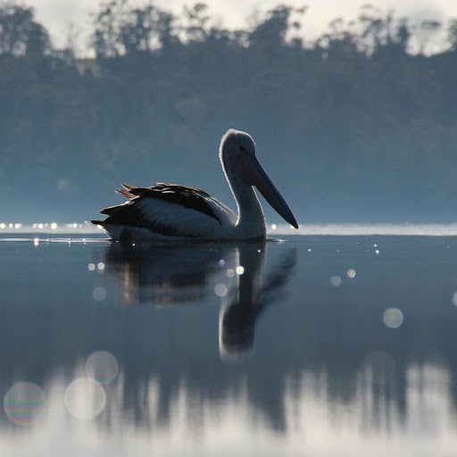 Hd-180100-ascw180100