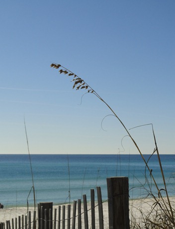 seaside, january2011,beth 166